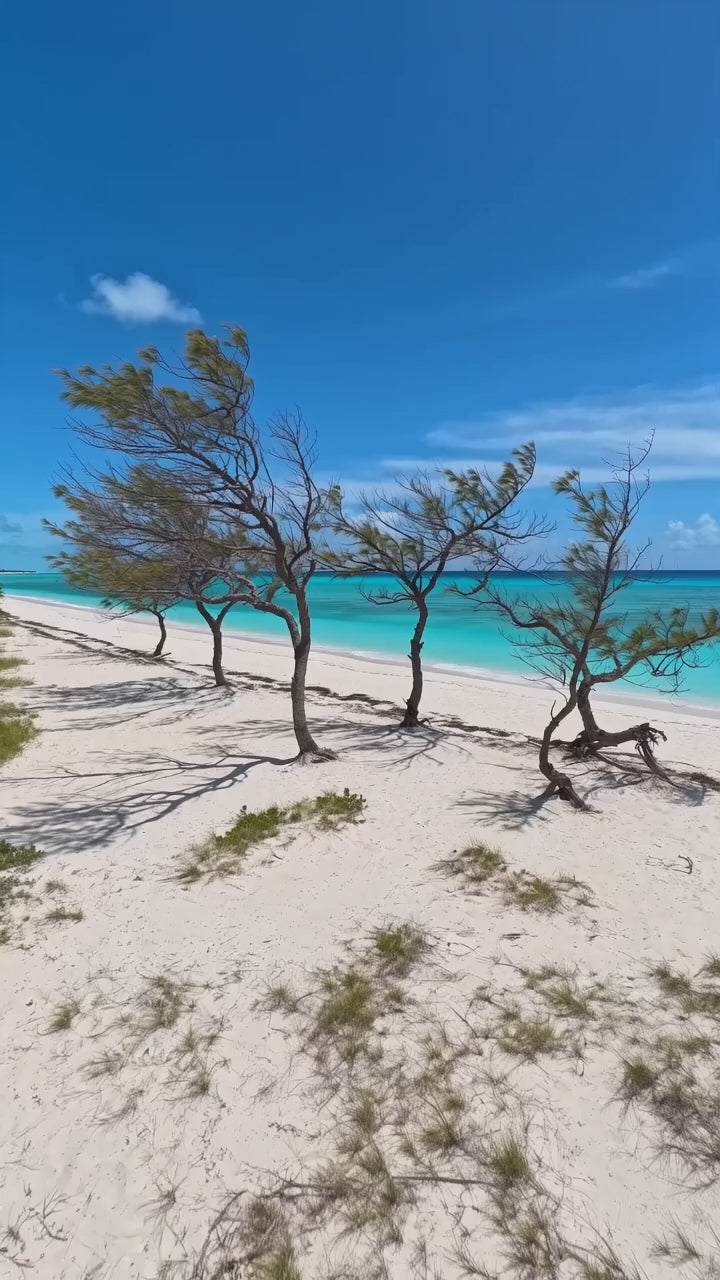 The Aruba Blueprint: Hidden Beaches, Snorkeling Spots & Insider Travel Tips